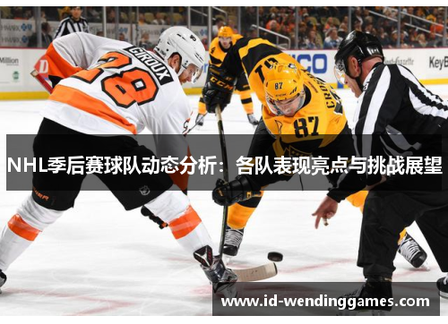 NHL季后赛球队动态分析：各队表现亮点与挑战展望