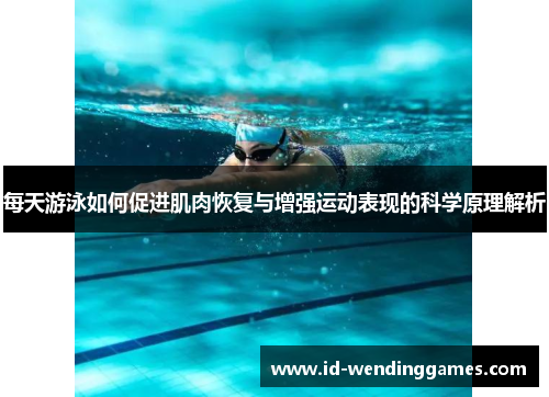 每天游泳如何促进肌肉恢复与增强运动表现的科学原理解析