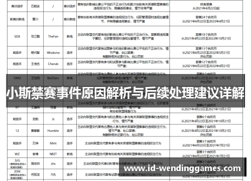小斯禁赛事件原因解析与后续处理建议详解
