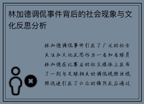 林加德调侃事件背后的社会现象与文化反思分析