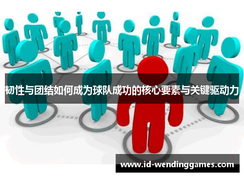 韧性与团结如何成为球队成功的核心要素与关键驱动力